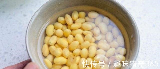 饲料|为什么“鸡不吃黄豆”你知道原因吗