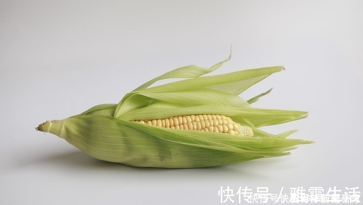 过路鱼|大面积水域钓不到大鱼怎么办注意这几点加上秘密武器就行了