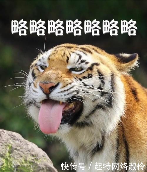 盘点|盘点史上身怀绝技的老师们