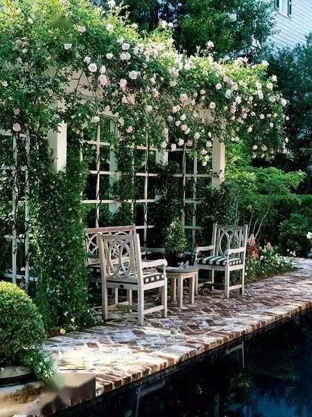 春天种上爬藤植物，夏天花儿爬满墙！