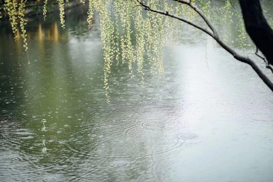 天青色等烟雨，宁波美到你！