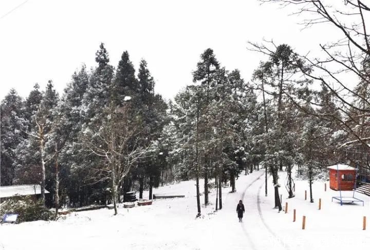 摩围|好美！摩围山下雪了