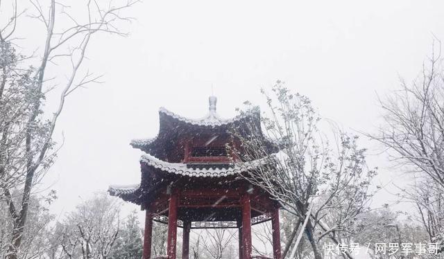 阜城|雪中的阜城东部仿宋式建筑群