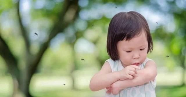妈妈|宝宝被蚊虫叮咬后，90%妈妈都做错！擦这个止痒最有效！
