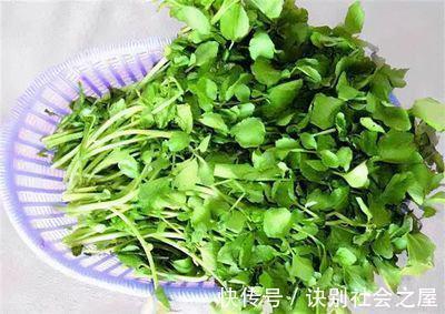 枇杷肉|女性一过40岁，要学会吃这7种食物，能养肝补肾淡化色斑