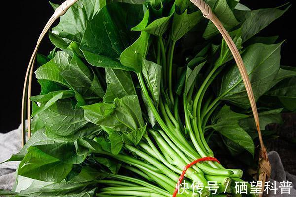 木耳菜|牛奶靠边站,补钙不妨试试这5种菜!每天炒一盘,小孩老人都爱吃