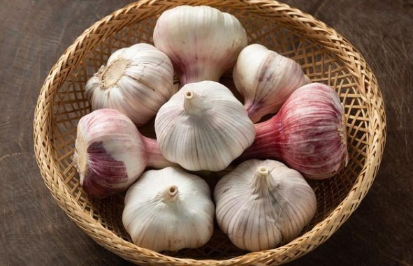 绿豆|4种食物发芽后,不仅没“毒”,营养反而会倍增,别再傻傻扔掉了