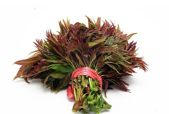 不焯水“不能吃”的四种蔬菜，许多人不知道，还傻傻的一直吃