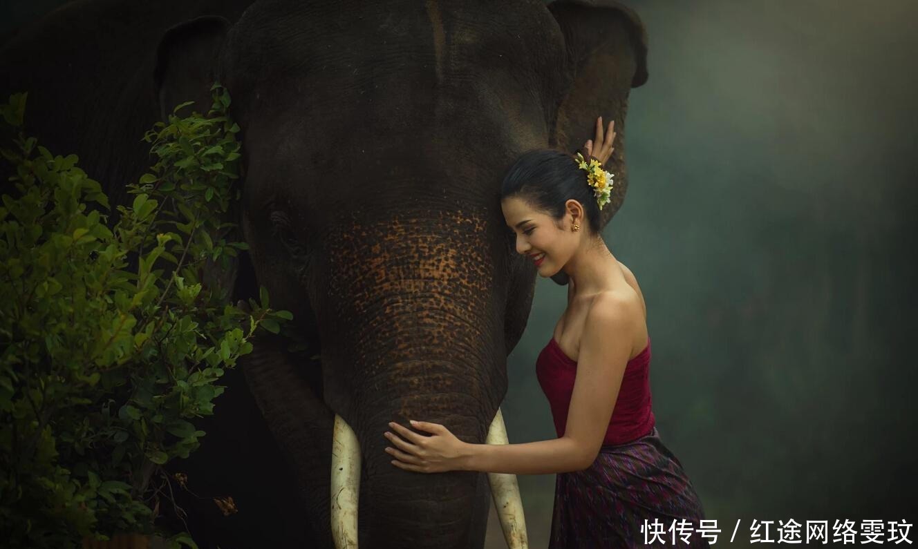 北宋|弱宋无外交？那是赵匡胤太鸡贼