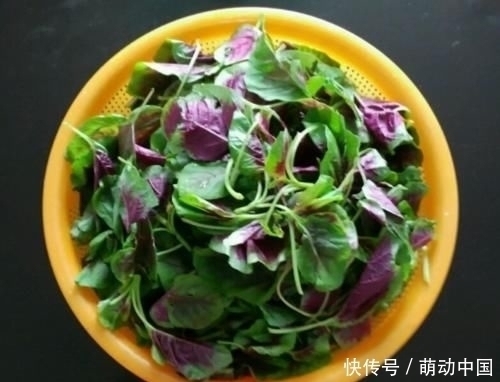 膳食纤维|这菜比“泻药”都刮油,每天炒一盘,肚子越吃越瘦,腰围也变细了