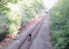 |搞笑GIF:大哥看你再有钱,也改不掉以前落下的职业病啊