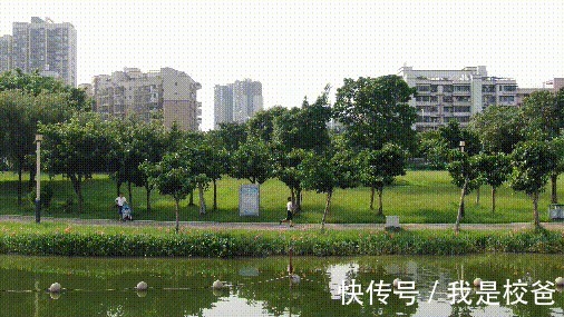 coolm为舒适而生，天越Coolmax抗菌轻弹跑鞋，跑出健康来！