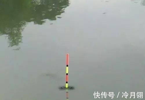 钓友|冬季巧用漂,鱼获不会少,冬季野钓最实用的调漂技巧