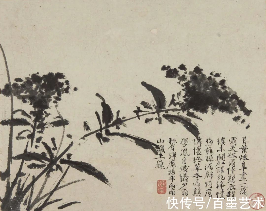 萱花#欣赏 | 草书入画，爽心悦目