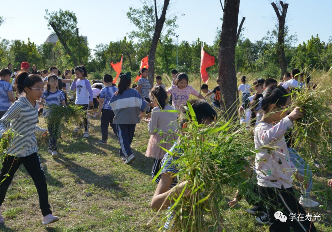 级部|劳动教育┆博耕实践绿校园，劳动教育润童心