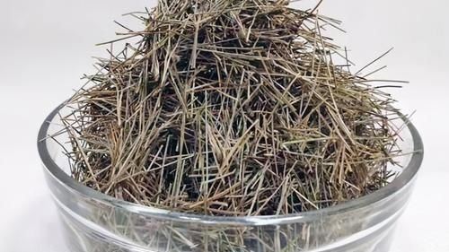 作为养花人,有机会就多收集些它们,看着不起眼却全是好东西