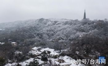 白雪|杭州西湖迎来新年初雪「组图」