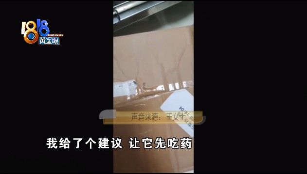 姑娘|“感冒”查出得犬瘟，姑娘在意“时间点”