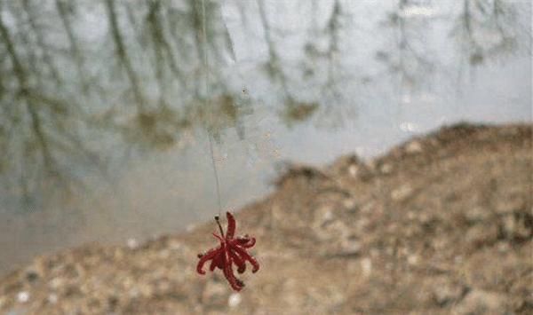 冬季钓鱼最讲究套路，常用这些老套路，气温再低也能连竿上鱼！