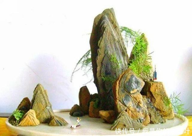 养花|大爷用石头、盘子来养花,布局造景,这就是山水盆景的魅力!