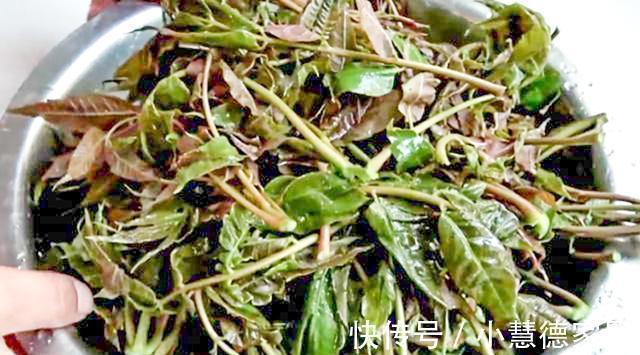 香椿炒鸡蛋|香椿焯水引争议，到底需不需要焯水呢？大厨来告诉你，可别做错了