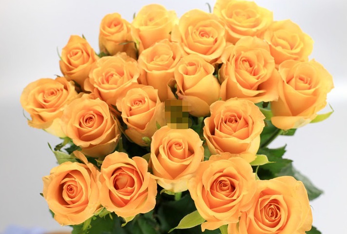 喜欢菊花,不如养盆“精品玫瑰”假日公主,颜色亮丽,充满活力