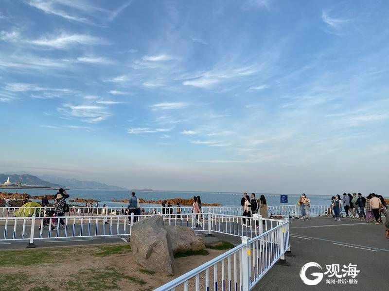 小麦岛|实拍：初夏小麦岛 繁花伴晚风