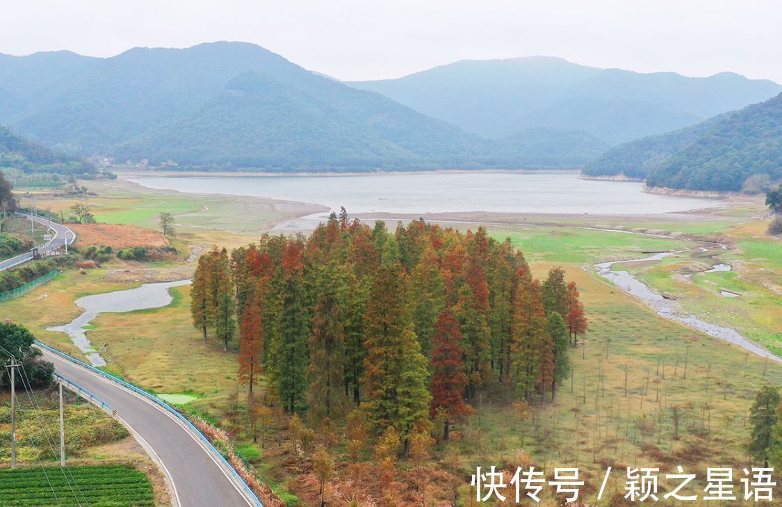 花海|黄金路，花海，红杉林，环游东吴风景线