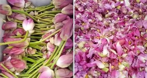  古时期人们|“可远观，而不可亵玩焉”：做菜、加工，古人“吃莲”好处多多