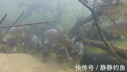 立冬过后,怎样选择钓位?掌握了这四点,才是收获满满的关键