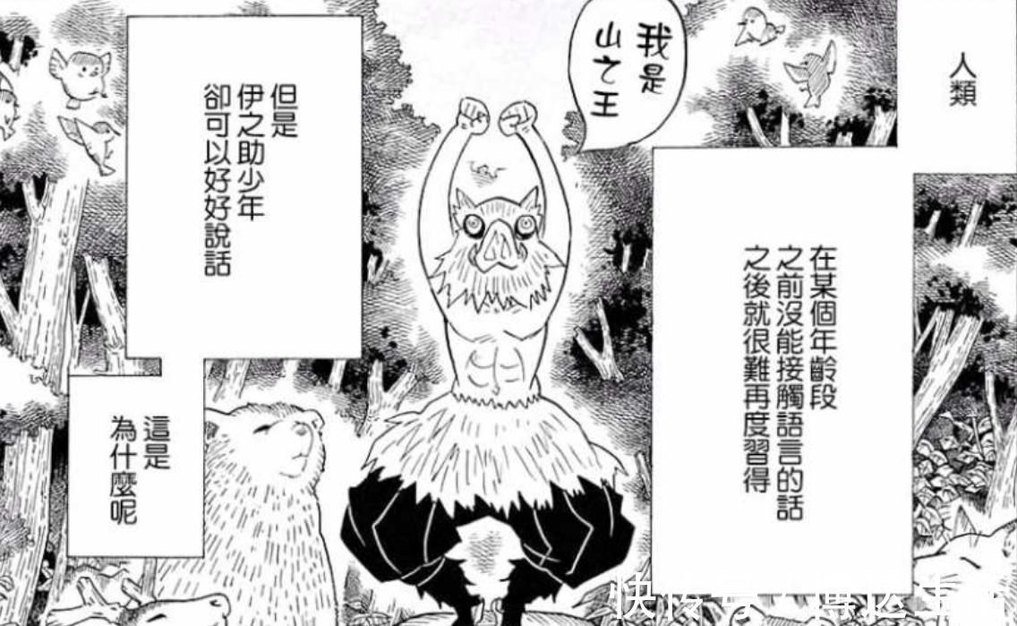 伊之助|鬼灭之刃有着女性外貌,和男子汉性格的人气角色,嘴平伊之助