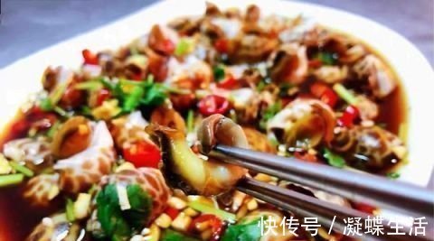 花螺|这东西在美国卖出了高价,中国却要花重金清理,食客:长错了地方