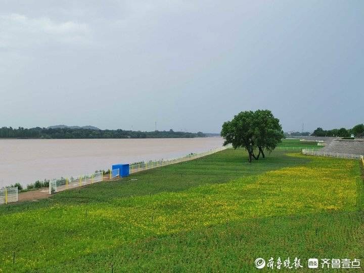 济南|应对黄河洪水过程，济南百里黄河风景区国庆期间将闭园