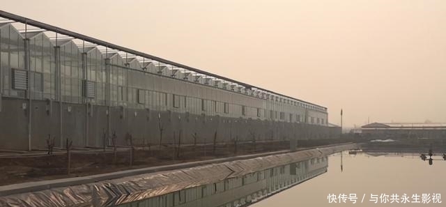 工作|男子放弃高薪工作,用八大菜系饲养蟑螂,如今每年凭此收入上亿