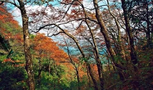 贵州旅游｜盘点贵州5大山峰的美