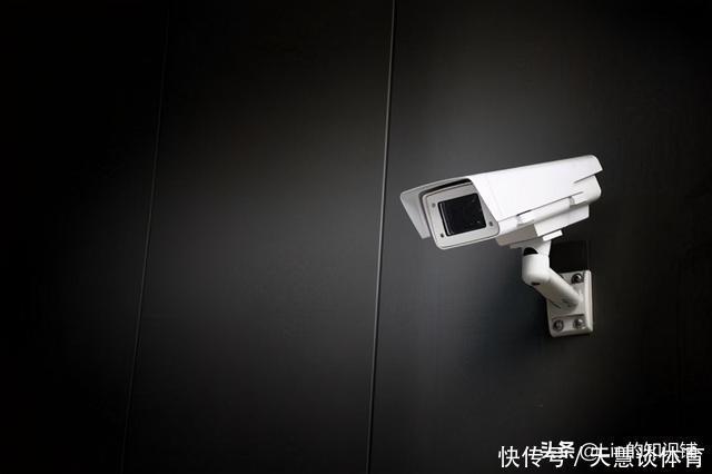 小熊维尼|12个冷知识:生活中不太可能会用到,但可以扩展你的知识面