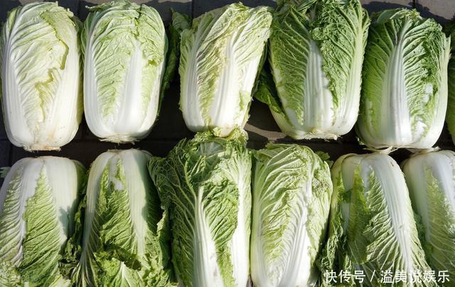 才知道,原来绿叶白菜和黄叶白菜的区别这么大,学会以后别买错了