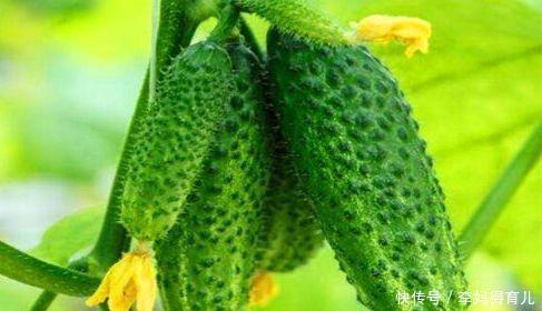 对身体最好的3种食物,营养丰富、延缓衰老,早吃早健康!