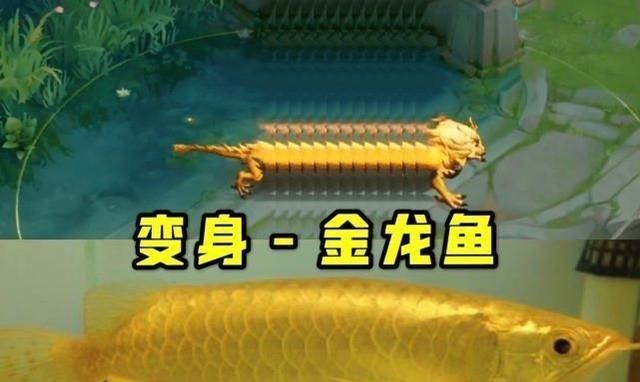 优惠|版权李小龙五折优惠，换成页游风格，因为加长效果很流行