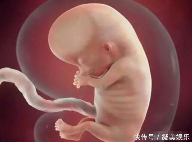孕妇|十月怀胎,哪几周是胎儿畸形的高发期看完后明白了