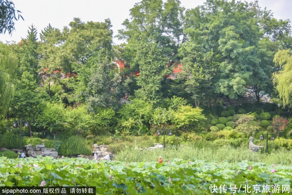 风景|免费！风景如画，微风湖畔，这个避暑圣地就在…