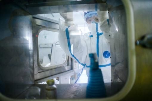 胎盘|胎盘该怎么处理？是吃还是埋？产科医生讲实话：并非大补之物