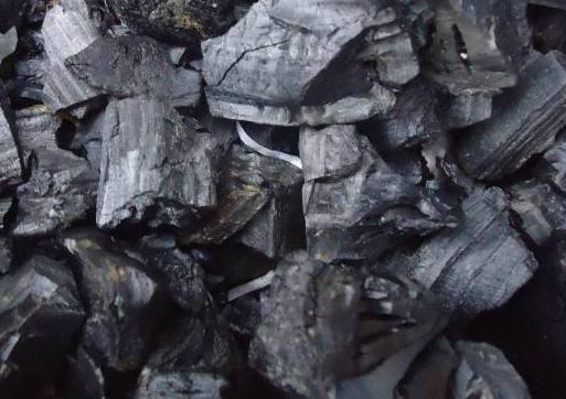 盆栽|把它加在盆栽里,10年都不会积水烂根,再也不用花钱买肥料了!