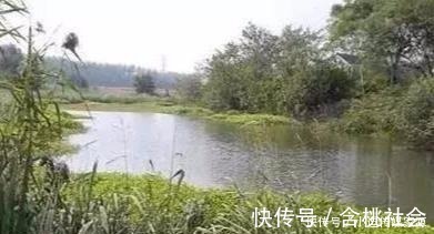 水草处|秋钓草边“三钓”、“三不钓”,用好了总有一次要爆护