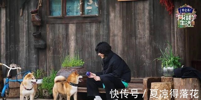 韓綜|《頂樓》后衍韓綜熱播,劇中反派于劇外“勞改”打開綜藝新思路