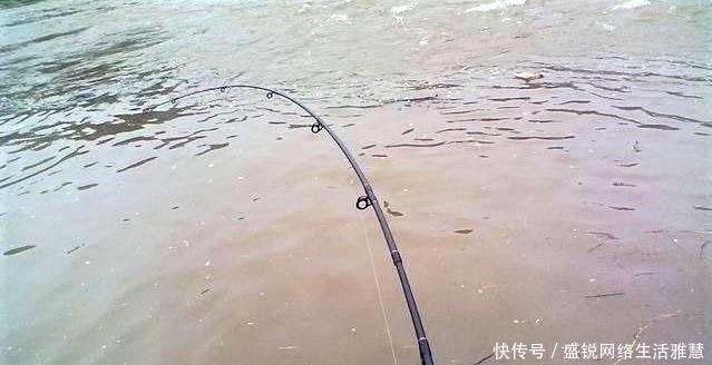 谷雨前后怎样选择野钓钓位的深浅?明白这些细节,深水浅水都中鱼