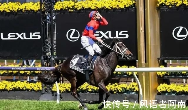 法国|大陆马：墨尔本杯冠军雌马“雍容尔雅”有望赴法国出征凯旋门大赛