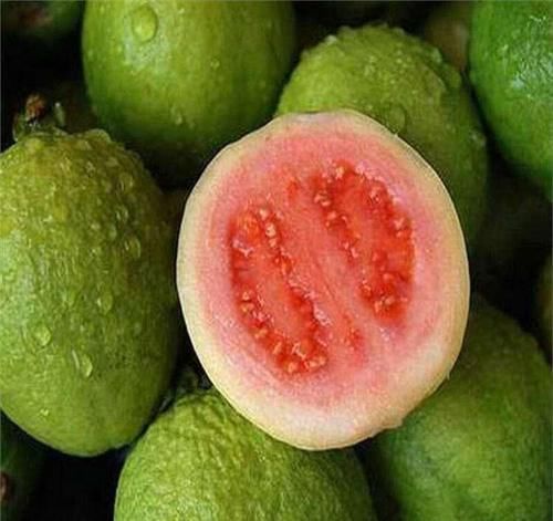 番石榴|女性秋天常食此物，美容养颜，延缓衰老，气色年轻更红润