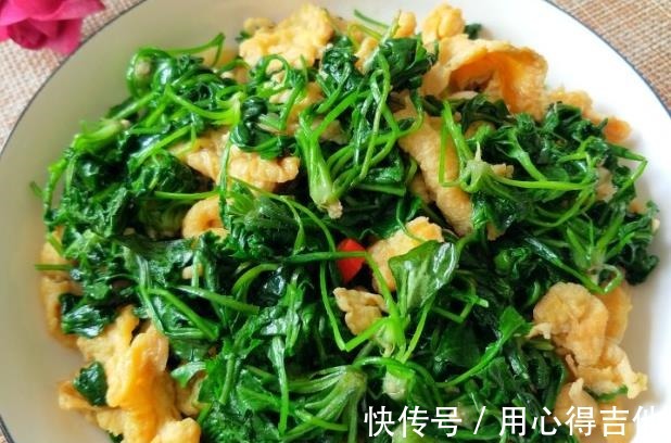 维c|冬季的“野菜之王”,遇到多买一些吃,富含11种氨基酸,利肝明目