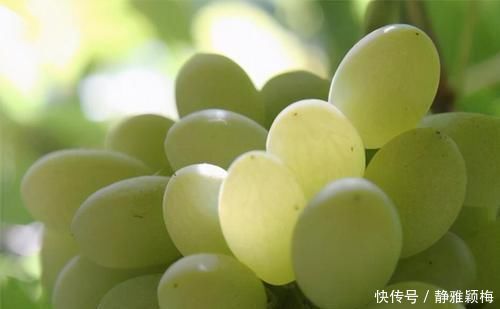 亚油酸|40岁女性不妨坚持吃3种食物,排毒养颜、延缓衰老,好处多多!